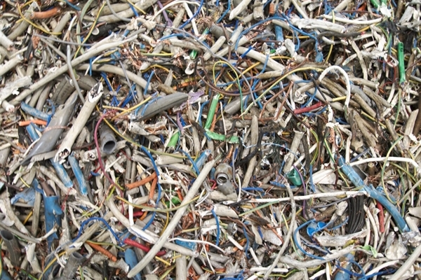 OLYMPUS DIGITAL CAMERA OLYMPUS DIGITAL CAMERA